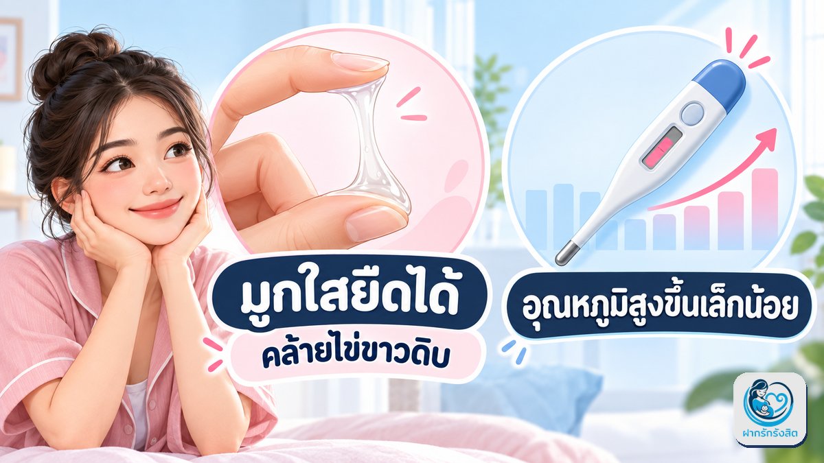 สังเกตร่างกาย ช่วยยืนยันวันไข่ตก