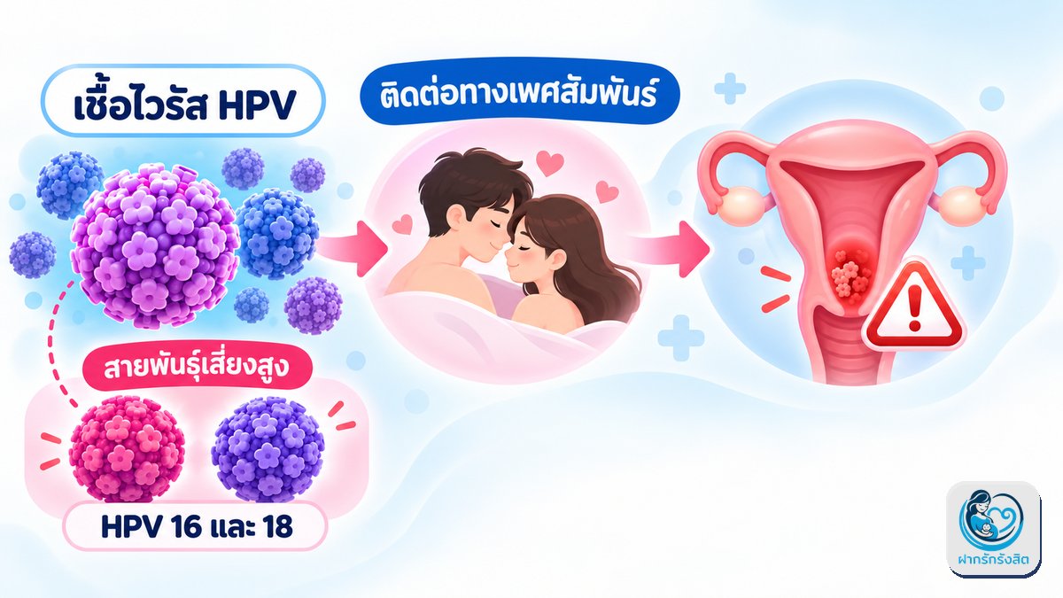 มะเร็งปากมดลูกเกิดจากอะไร