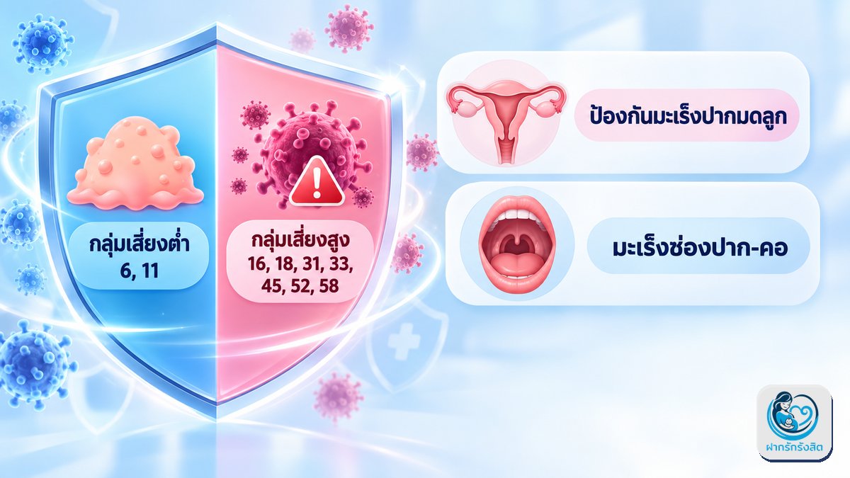 วัคซีน HPV ป้องกันอะไรได้บ้าง