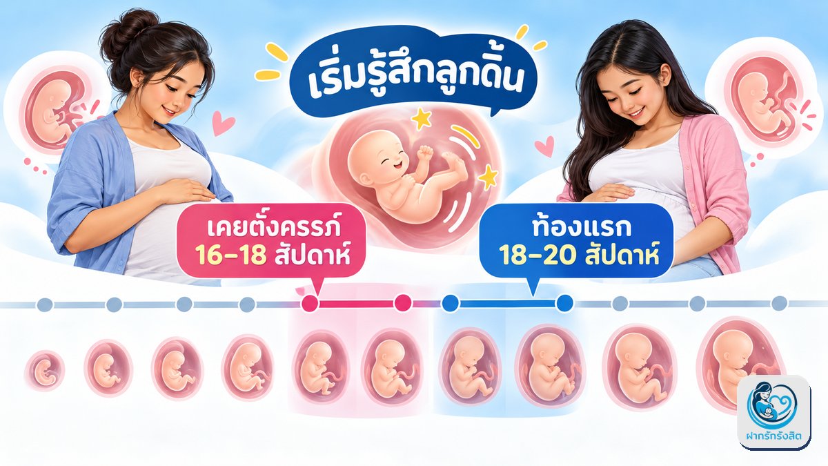 จะเริ่มรู้สึกลูกดิ้นตอนกี่สัปดาห์