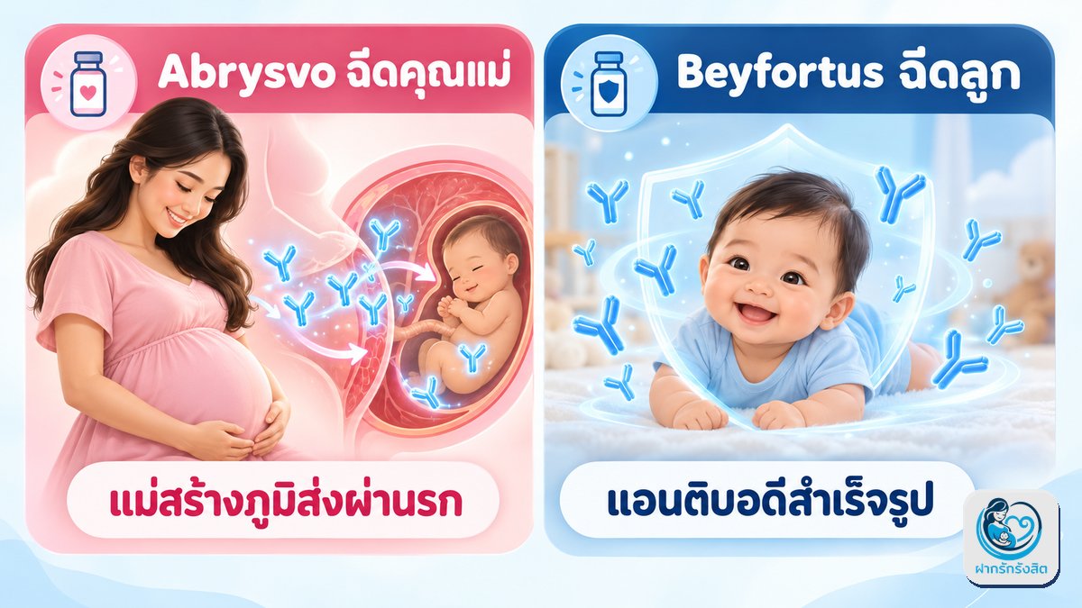 Abrysvo หรือ Beyfortus — เปรียบเทียบให้เห็นภาพ