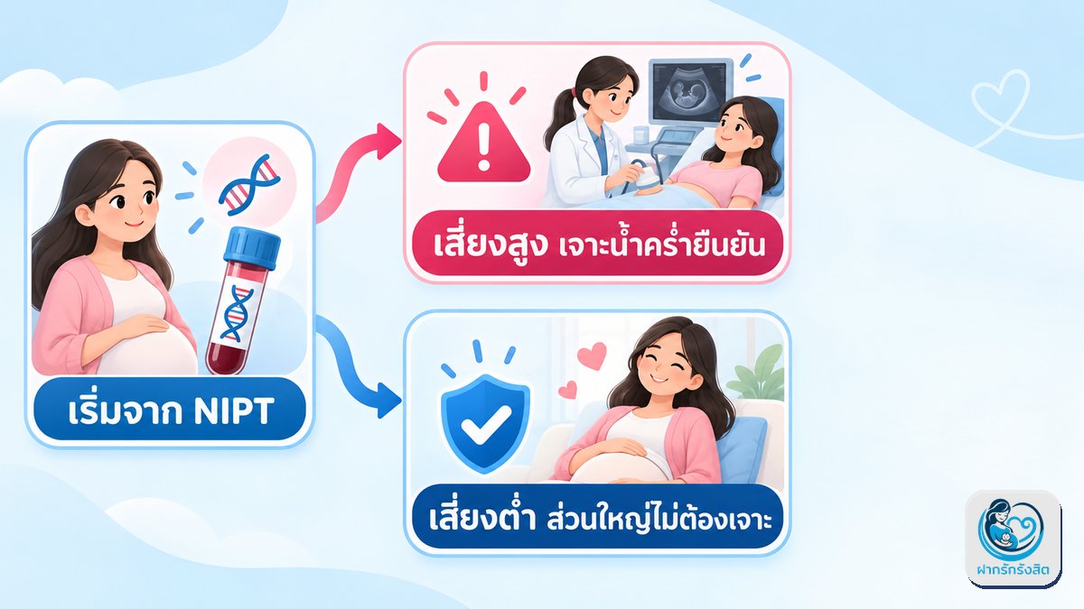 แล้วควรเลือกแบบไหนดี