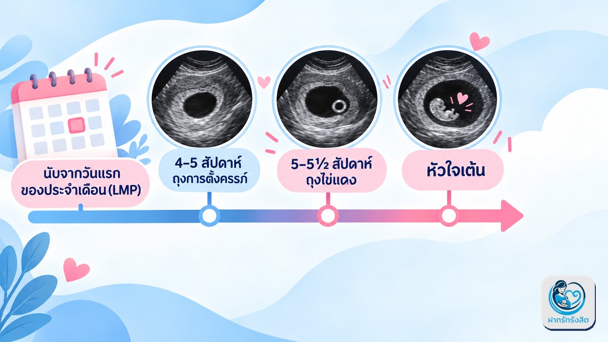 ไทม์ไลน์ไตรมาสแรก: อัลตราซาวด์แต่ละช่วงเห็นอะไร