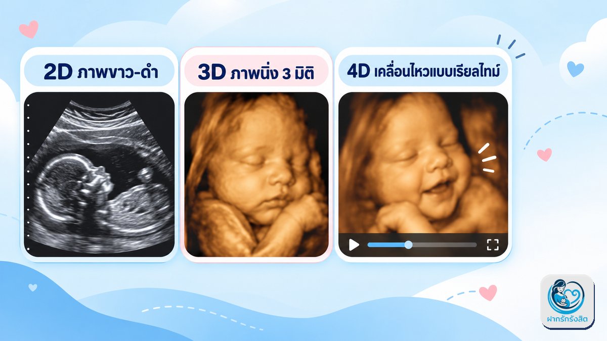 2D, 3D และ 4D ต่างกันอย่างไร