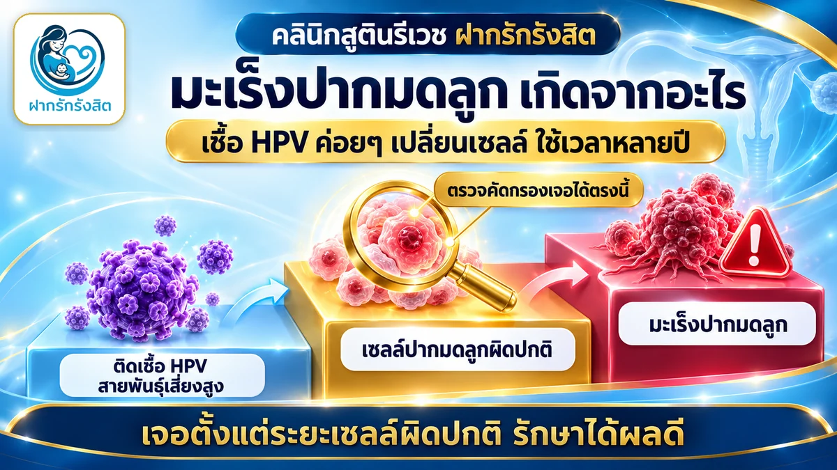 มะเร็งปากมดลูกเกิดจากเชื้อ HPV ตรวจคัดกรองเจอตั้งแต่เซลล์ผิดปกติ — ตรวจมะเร็งปากมดลูก รังสิต ฝากรักรังสิต