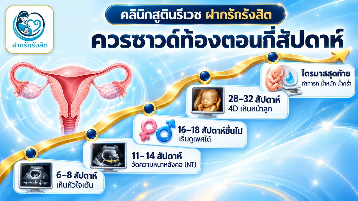ควรซาวด์ท้องตอนกี่สัปดาห์ 6–8 สัปดาห์ NT ดูเพศ 4D — ซาวด์ท้อง รังสิต ปทุมธานี